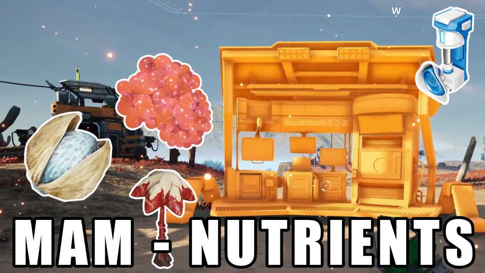MAM - Nutrients