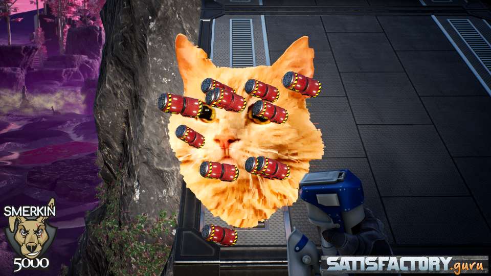 Explosive Ginger Kitty