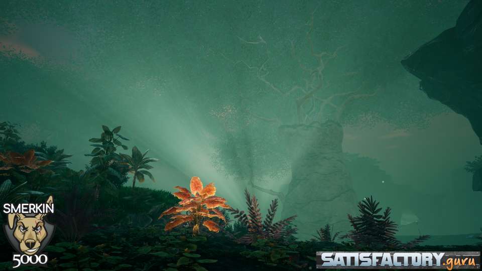 Titan Forest Lighting