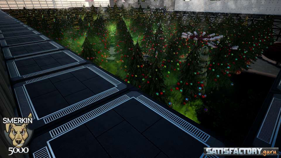 Indoor Hydroponic Gift Tree Setup Indoor Hydroponic Gift Tree Setup