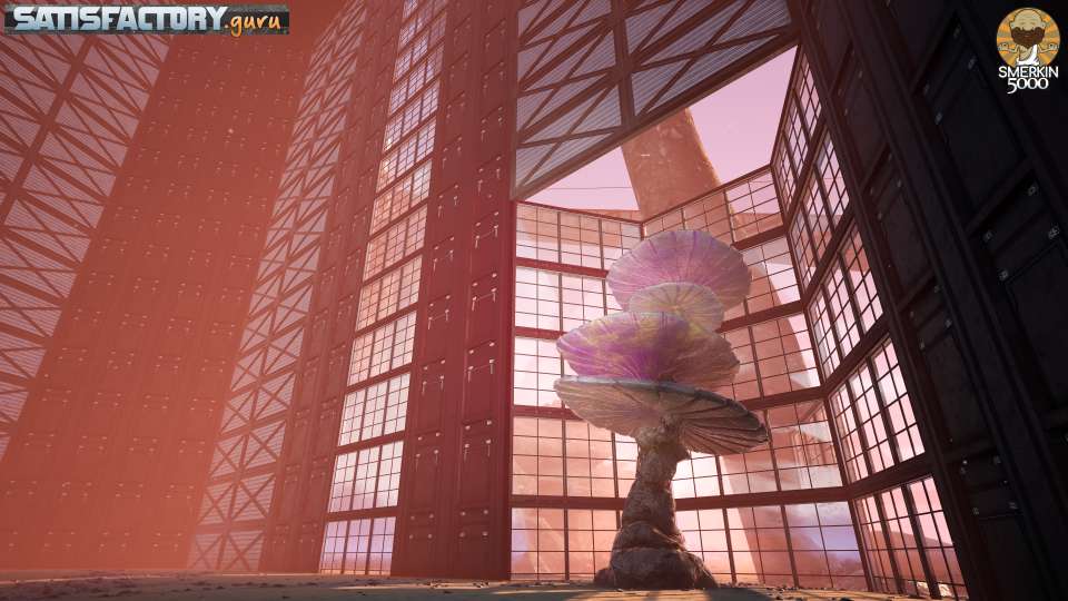 Room for the shroom Room for the shroom